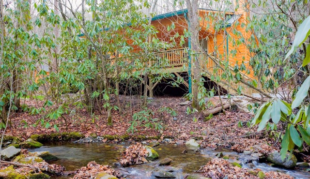 Log cabin nestled in the mountains and situated on Collett Creek