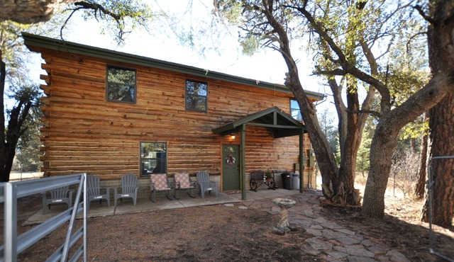Log cabin on 2.5 private wooded acres! Bring your horses & ATV's. Hunt area 23