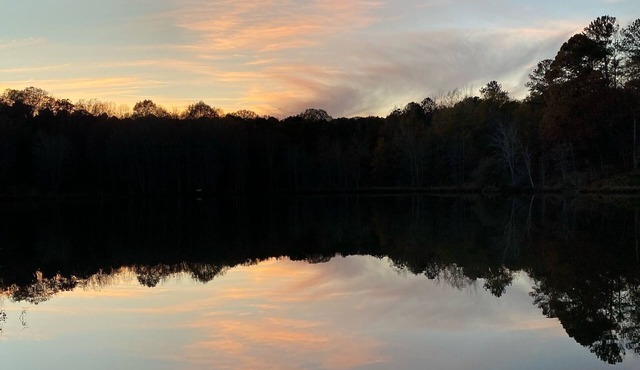 Log Cabin on 5 acre pond - fishing and wildlife paradise!