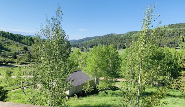 Log cabin on 5 acres in Wilson Wyoming