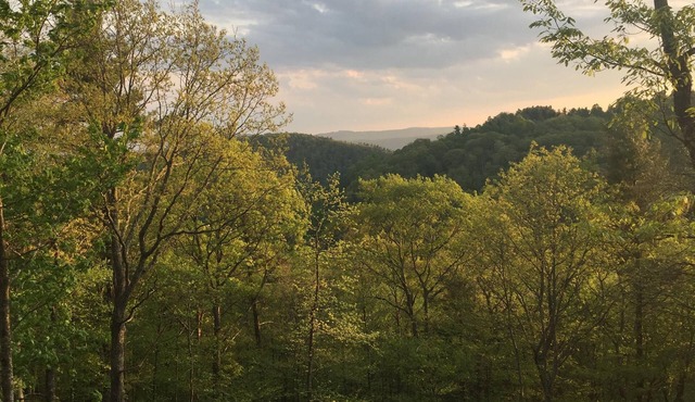 Log Cabin on 9 private acres on Blue Ridge Parkway with gorgeous views