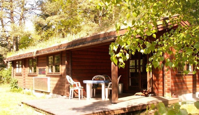 Log cabin on a 2000 m² nature estate, only5 km to the sea