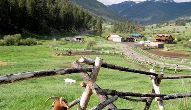 Log Cabin On Historic Yellowstone Park Ranch on the McDonald Ranch