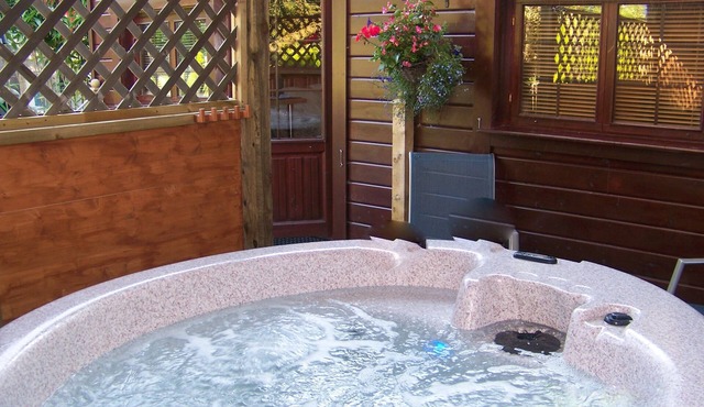 Log Cabin Private Hot Tub & Swimming Pool ,Adults Only,New Forest National Park