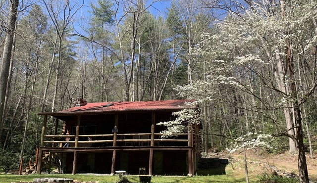 Log Cabin - private - w/running creek - 1mile from downtown Hot Springs