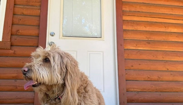 Log Cabin Retreat in the Montana Wilderness
