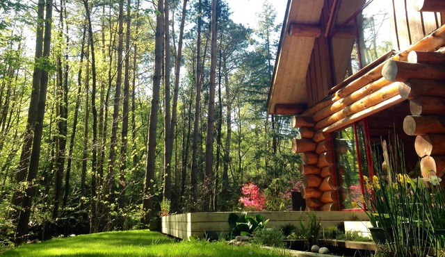 Log cabin (rough logs) among the trees and spa