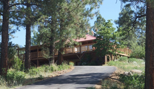 Log Cabin with a Mountain View. Secluded property with easy access to amenities