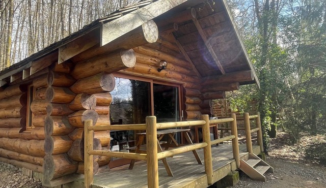Log Cabin with Lake View – Nature Escape, Terrace, Canoe, and Activities