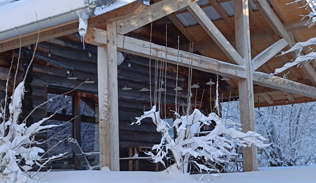 Log cabin with sheltered terrace, pets welcome