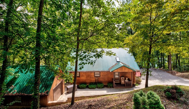 Log home in peaceful cove. Great for multiple families. Starlink internet