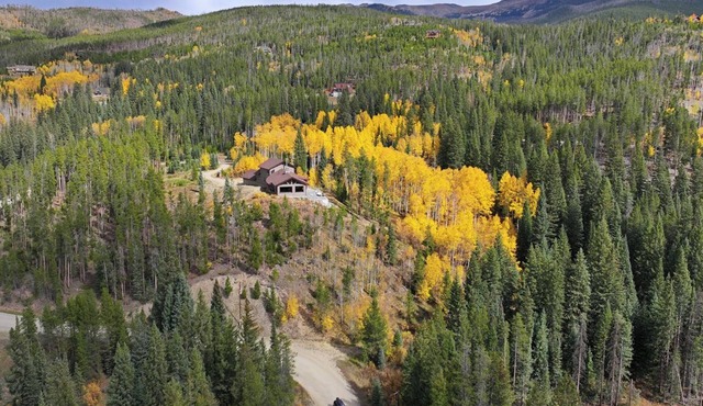 Log home in the forest - incredible view of peaks to the south - private & cozy!