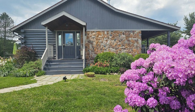 Log Home w/Mtn & Lake View- Central Air, Fiber Internet, Covered Porch, Firepit