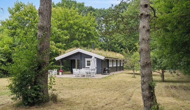 Log house in Dronningmølle 150 m to the beach