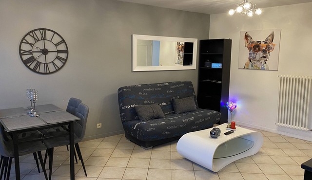 Log proche Lyon CNPE Bugey