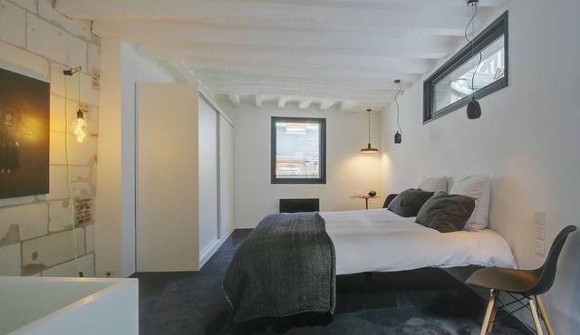 Logement Atypique 200m2 au Calme et Confort en Plein Tours Centre