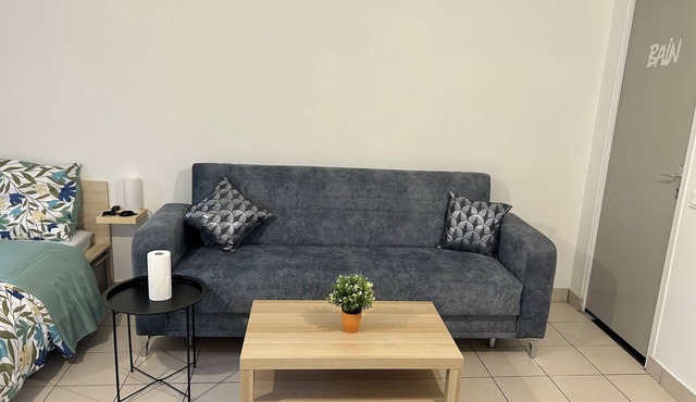 Logement Bien Situé Avec Jardin et Terrasse Dans le Calme