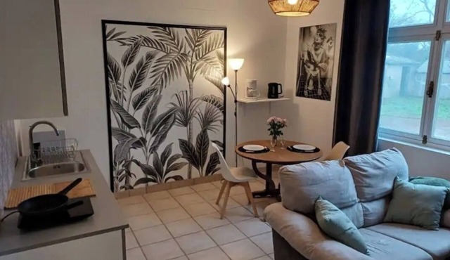 Logement centre ville Buzançais