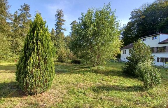 Logement dans un cadre apaisant à Moussey dans les Vosges