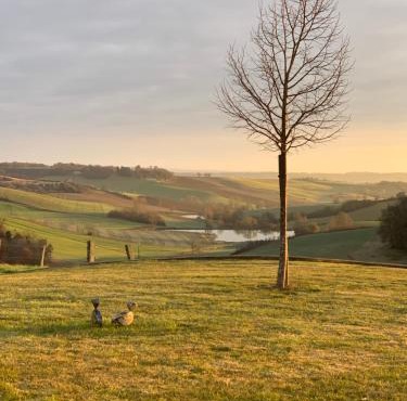 Logement entier de charme, gite équestre GERS Flamarens
