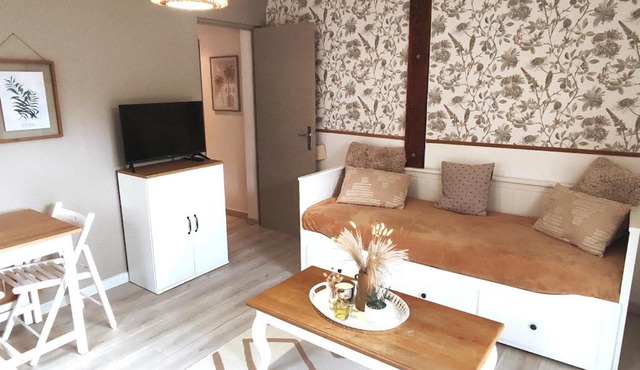 Logement lumineux bord de forêt