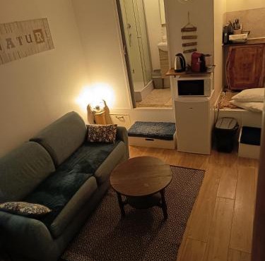 logement Mezzanine salon indépendant
