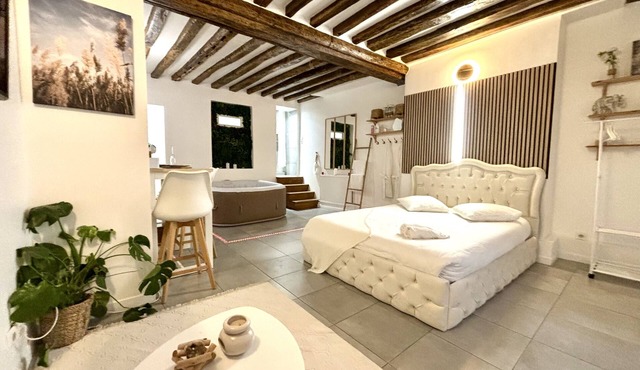 Logement Moderne Avec Jacuzzi
