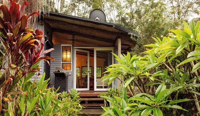 Loggers Cabin at Nightcap Ridge in the Byron Bay Hinterland.