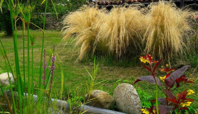 Logis Auberge La Barguillère