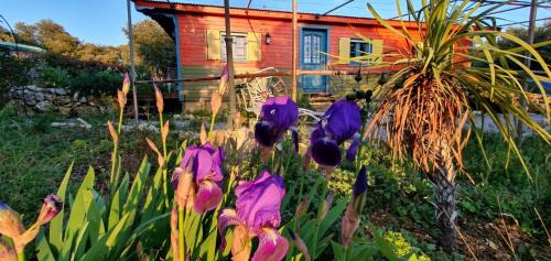 Logis de belavista La Boémia