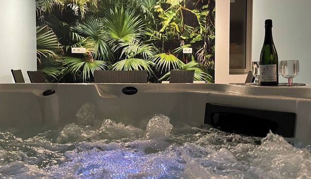 Logis du Pressoir with SPA - 6 people - Pommard