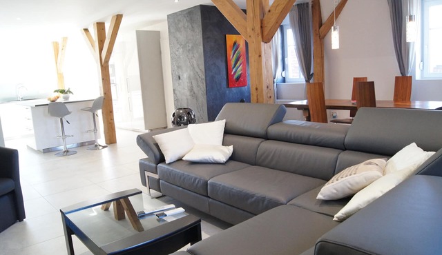 LOGIS DU RIED large 3 room apartment 130 m² "COMFORT" 30 minutes from Europa-Park