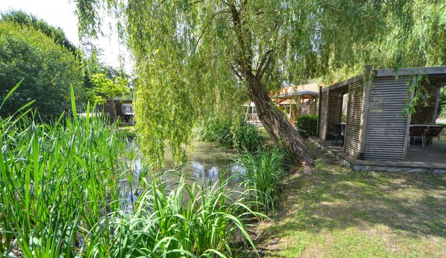 Logis Hôtel Restaurant La Mire