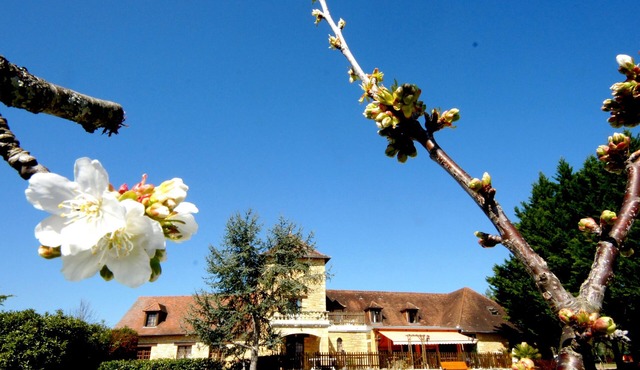 Logis Hôtel - Les Collines