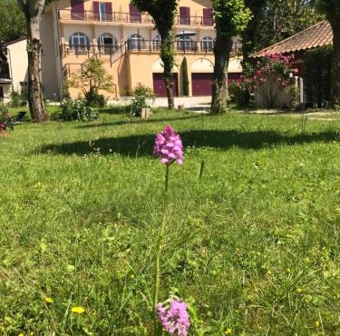 Logis Hôtel Restaurant Le Castel Fleuri