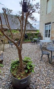 Logis La P'tite Futée