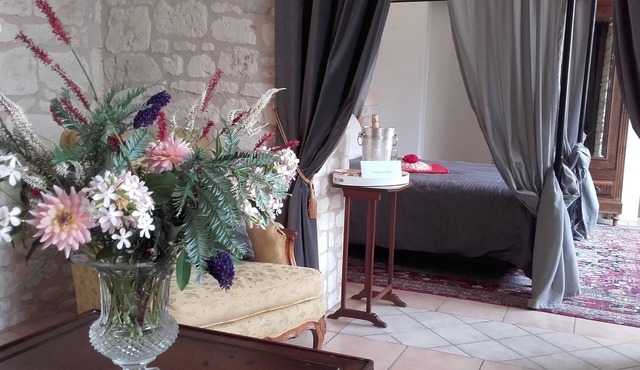 Loire Valley: Chateau de Bournand, nine acres park with pool, up to 18 guests