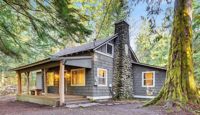 Lolo Bear Cabin Rustic Pets OK Mt Hood retreat