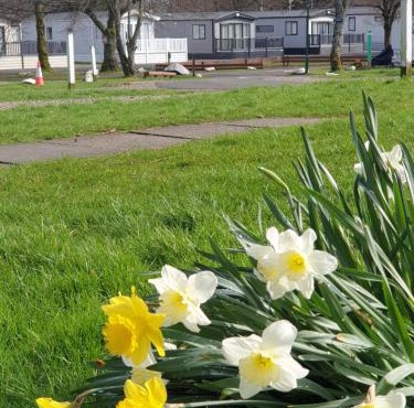 Lomond Woods Holiday Park