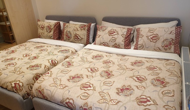 London Luxury Apartment Sleeps 4, 1 Min from Redbridge Station