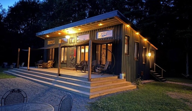 Lone Birch Cabin in Dansville NY