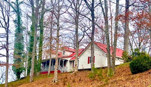 Lone Mountain View at Norris Lake!