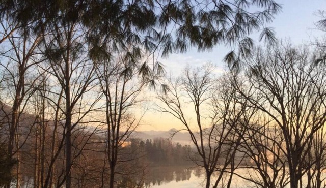 Lone Star Retreat # 1-10 min to Waynesville & BR Pkwy-25 min to Biltmore Estate