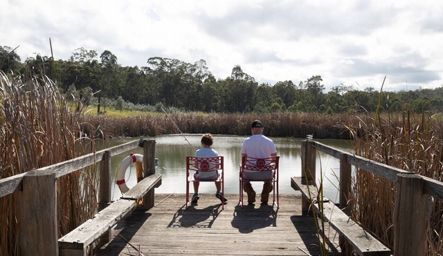 Lonely Goat Olives, Hunter Valley. Children under 12 free. Pet friendly.