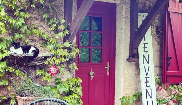 ~ Longère Berrichonne au Cœur des Vignes ~