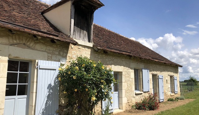 Longère character green