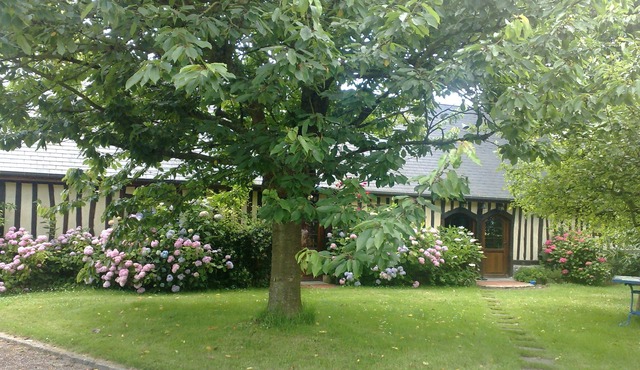 Longère (traditional long house) in Pays de Caux on wooded grounds