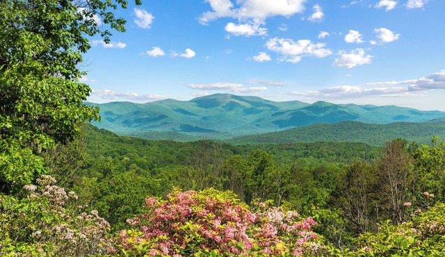 Long-Range Mountain Views, 5 Bedrooms, Room for 10