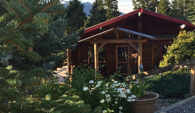 Long term Available up to 6 months starting on November 1st 2025 to May 1st 2026