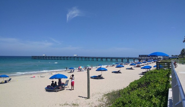 Long Term Stay - Charming Lake Worth Beach Home with Heated Salt Water Pool!